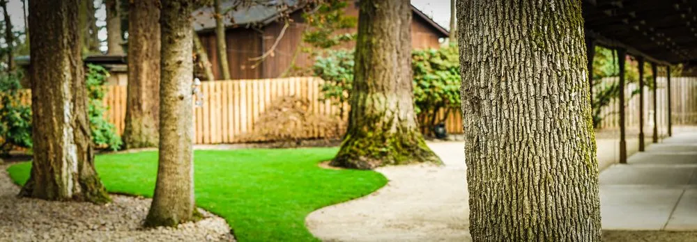 Reliable residential landscaping in Eugene, OR by Living Concepts Landscape Services