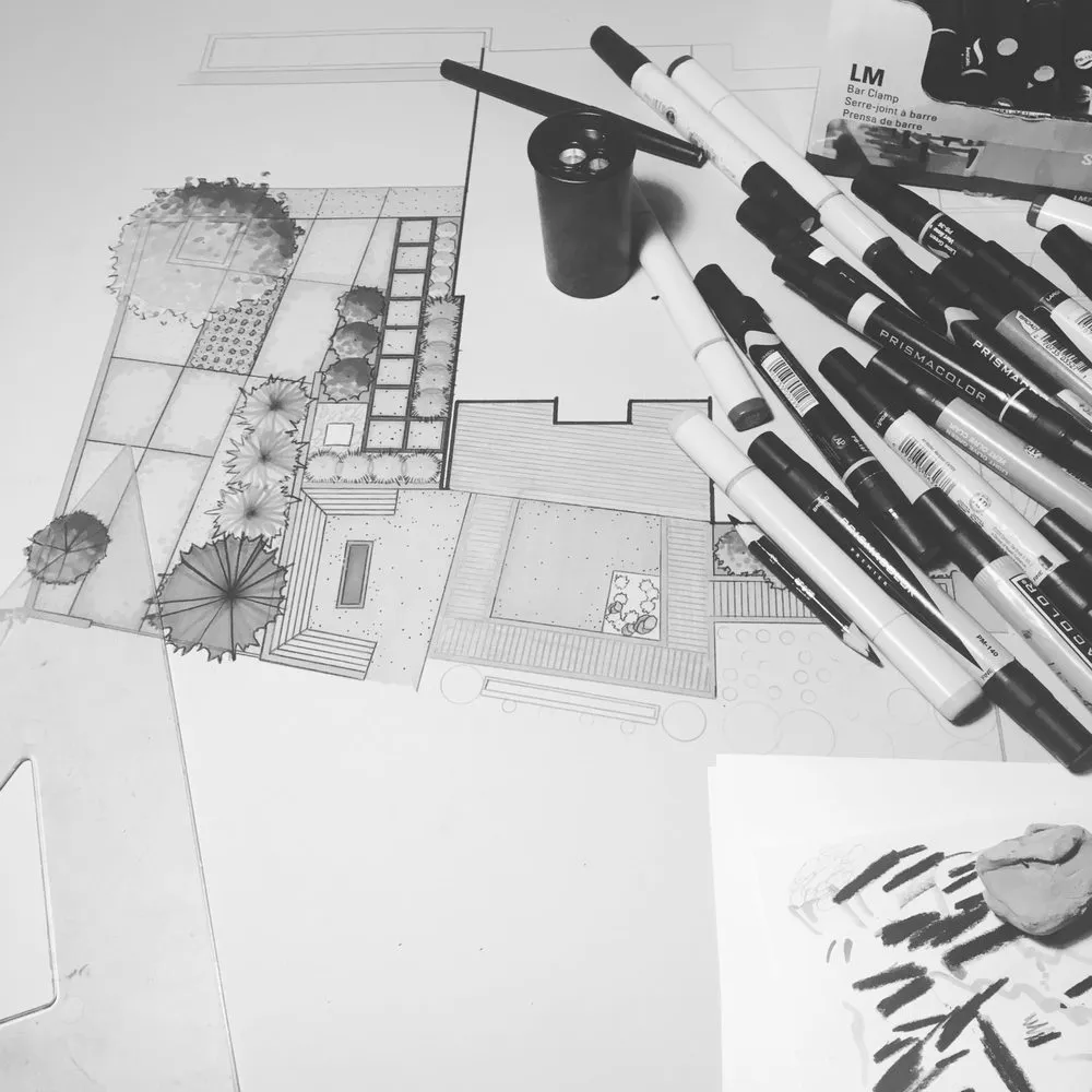 Local lawn mowing service in Denver, CO - Living Earth Designs