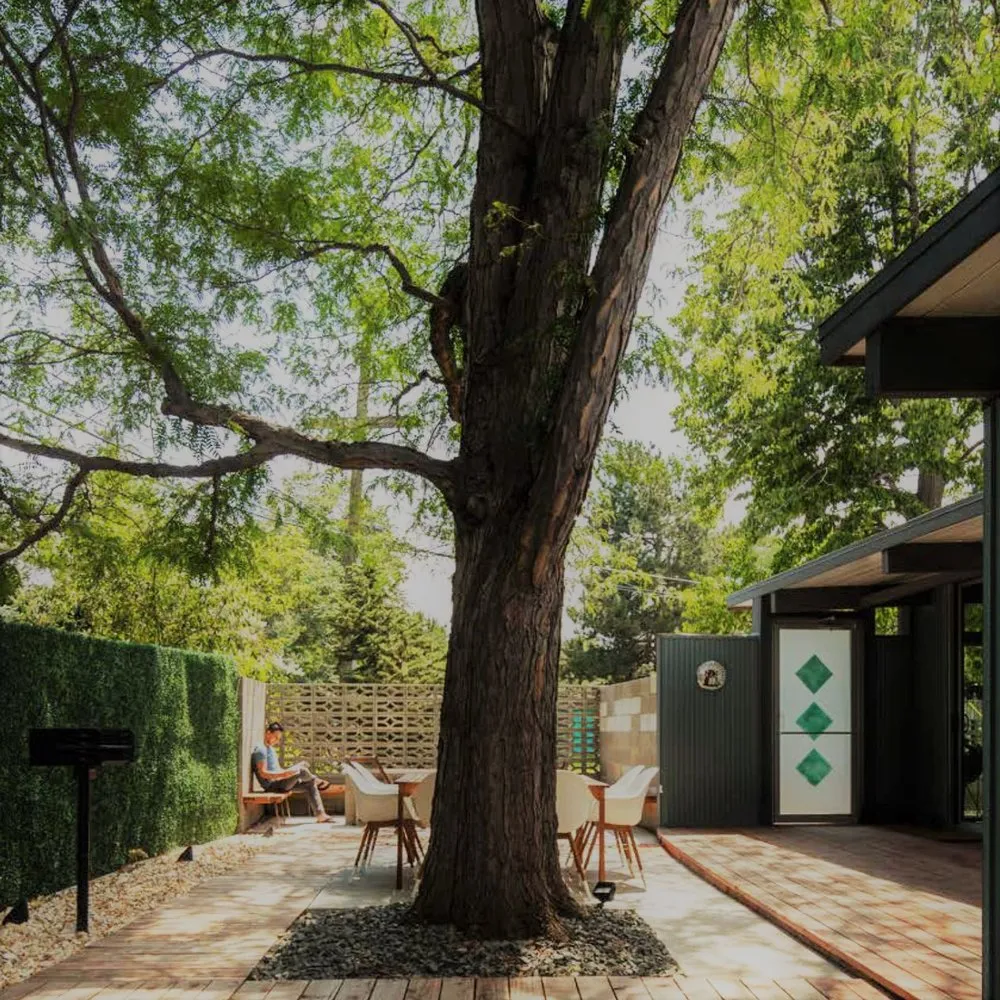 Reliable landscape installation for residential properties across Denver, CO - Living Earth Designs