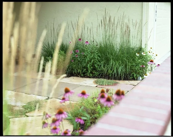 Expert landscaping services in Vallejo, CA by Living Earth Gardens