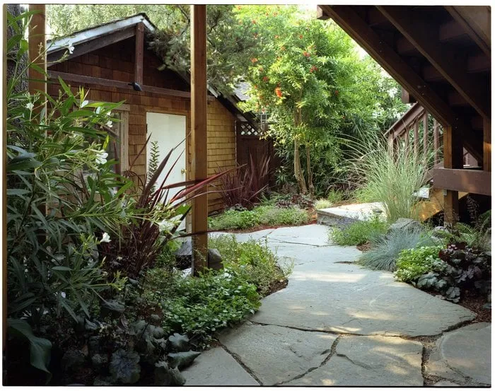 Reliable lawn mowing service in Vallejo, CA by Living Earth Gardens