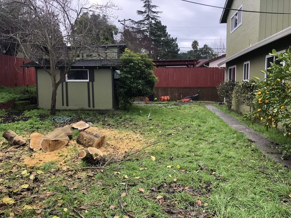 Expert lawn mowing service near you in Vallejo, CA by Living Earth Gardens