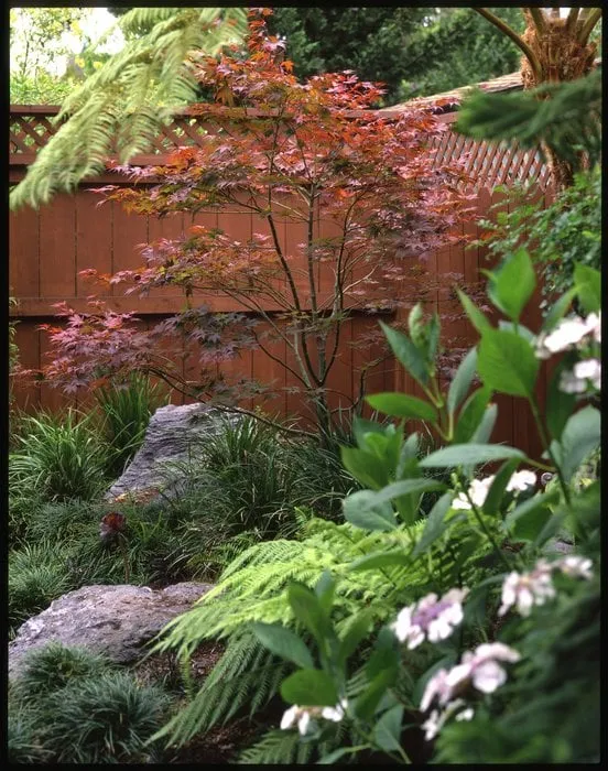 Expert residential landscaping for outdoor upgrades across Vallejo, CA - Living Earth Gardens