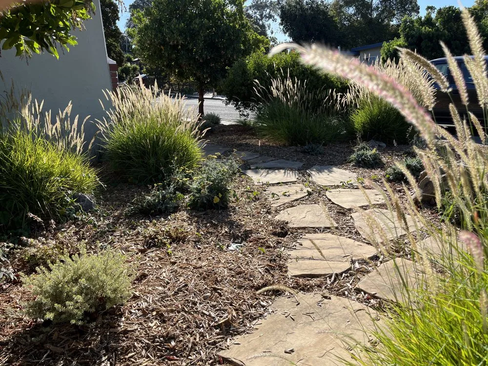 Reliable lawn care service with custom design across Vallejo, CA - Living Earth Gardens