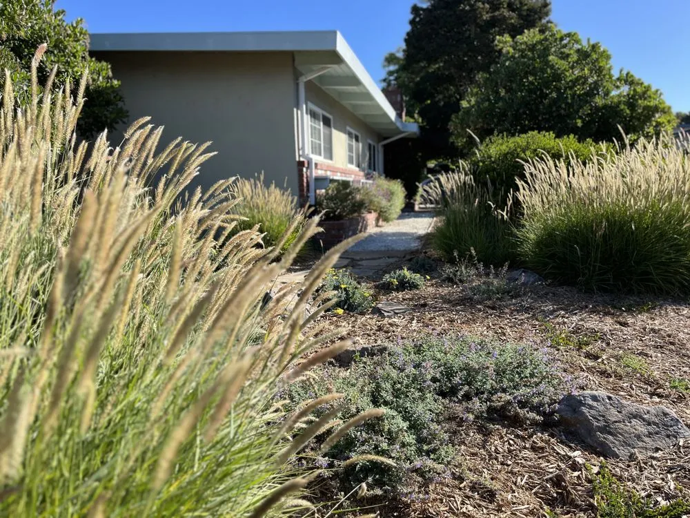 Expert residential landscaping in Vallejo, CA by Living Earth Gardens