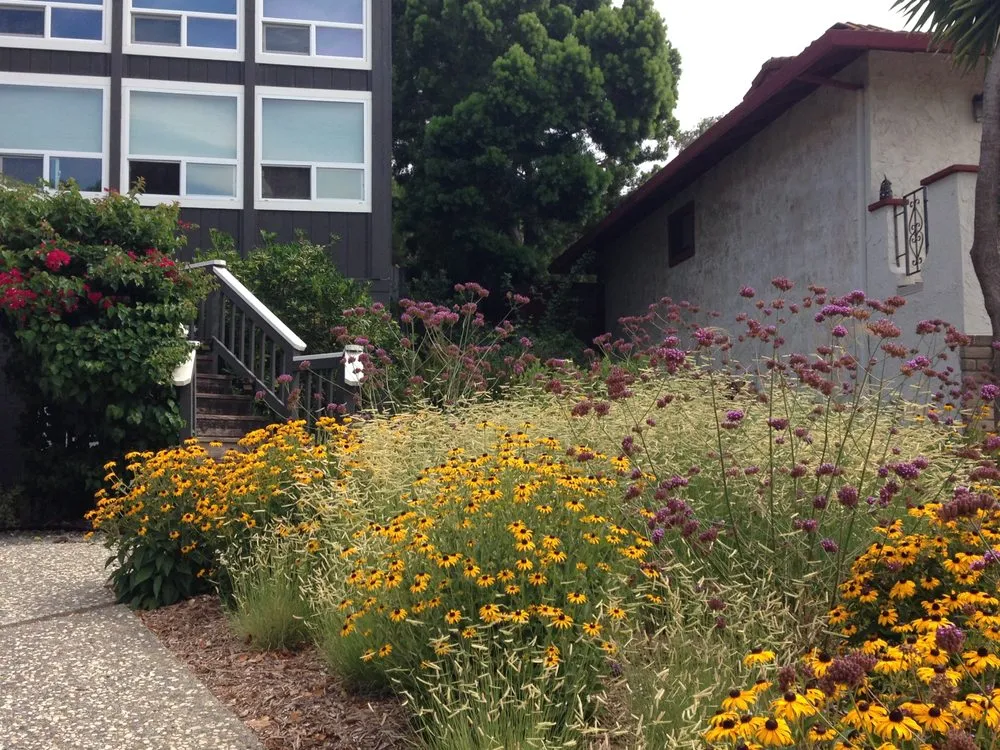 Trusted lawn care service for residential properties across Vallejo, CA - Living Earth Gardens