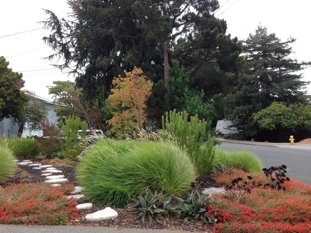 Local yard maintenance experts serving Vallejo, CA - Living Earth Gardens