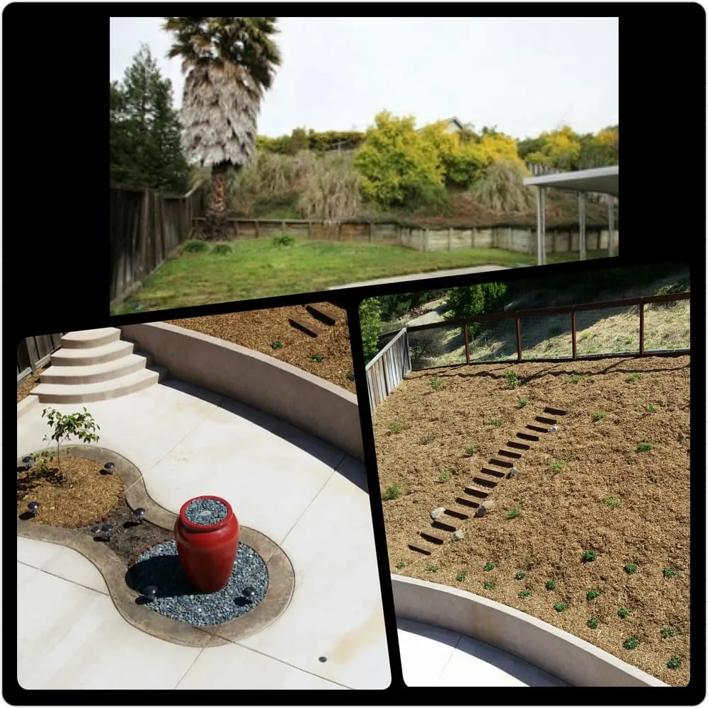 Local lawn care service in Vallejo, CA - Living Earth Gardens