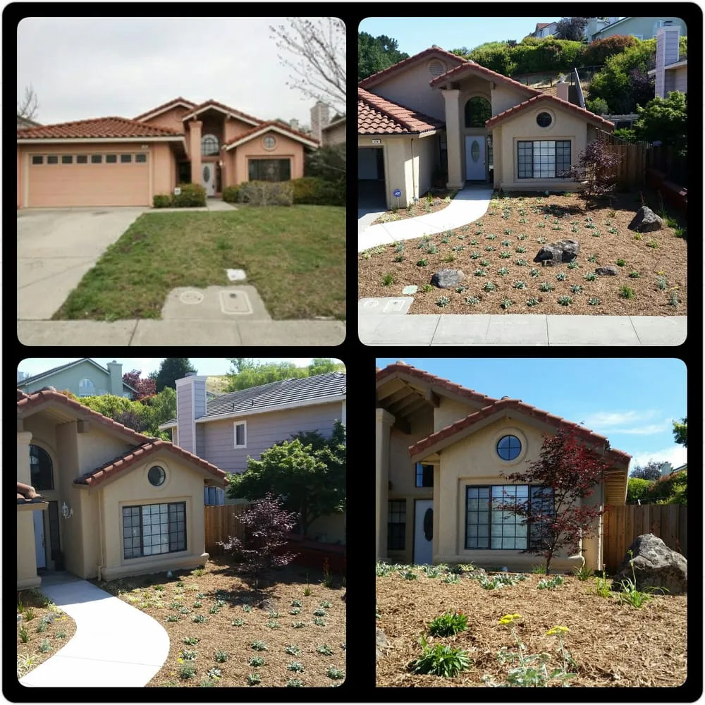 Trusted yard cleanup service in Vallejo, CA - Living Earth Gardens