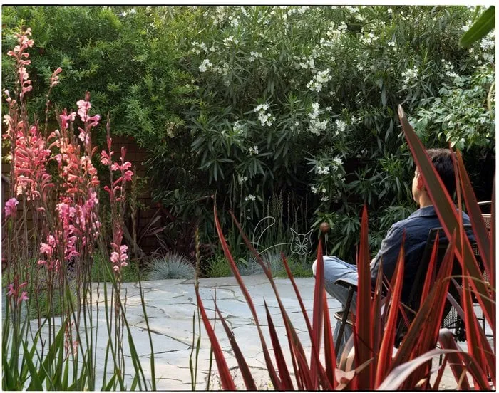 Local yard cleanup service near you in Vallejo, CA by Living Earth Gardens