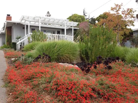 Living Earth Gardens