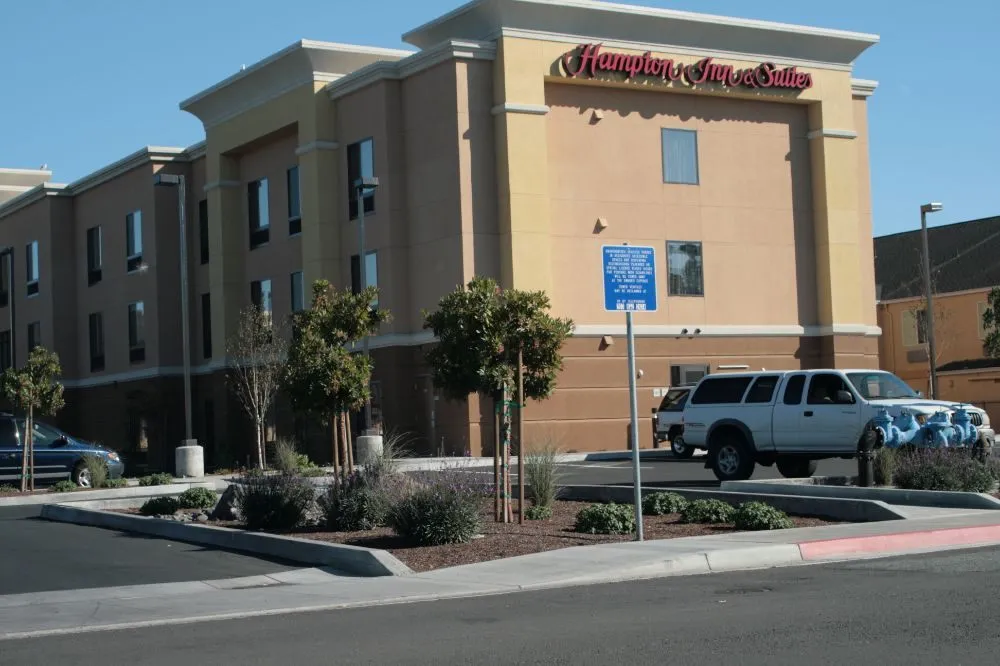 Professional lawn care service for homes across Arcata, CA - Living Earth Landscapes