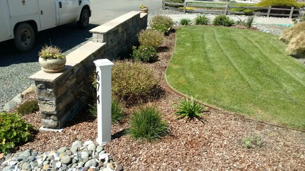 Expert yard maintenance in Arcata, CA by Living Earth Landscapes