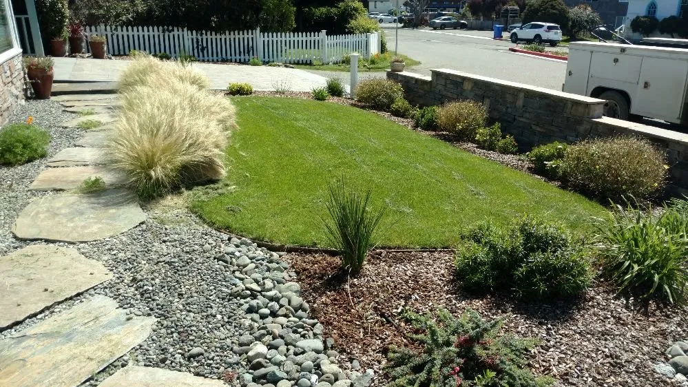 Affordable yard cleanup service with custom design in Arcata, CA by Living Earth Landscapes