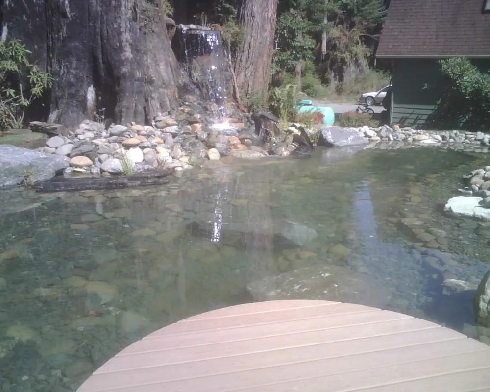 Trusted yard cleanup service in Arcata, CA - Living Earth Landscapes