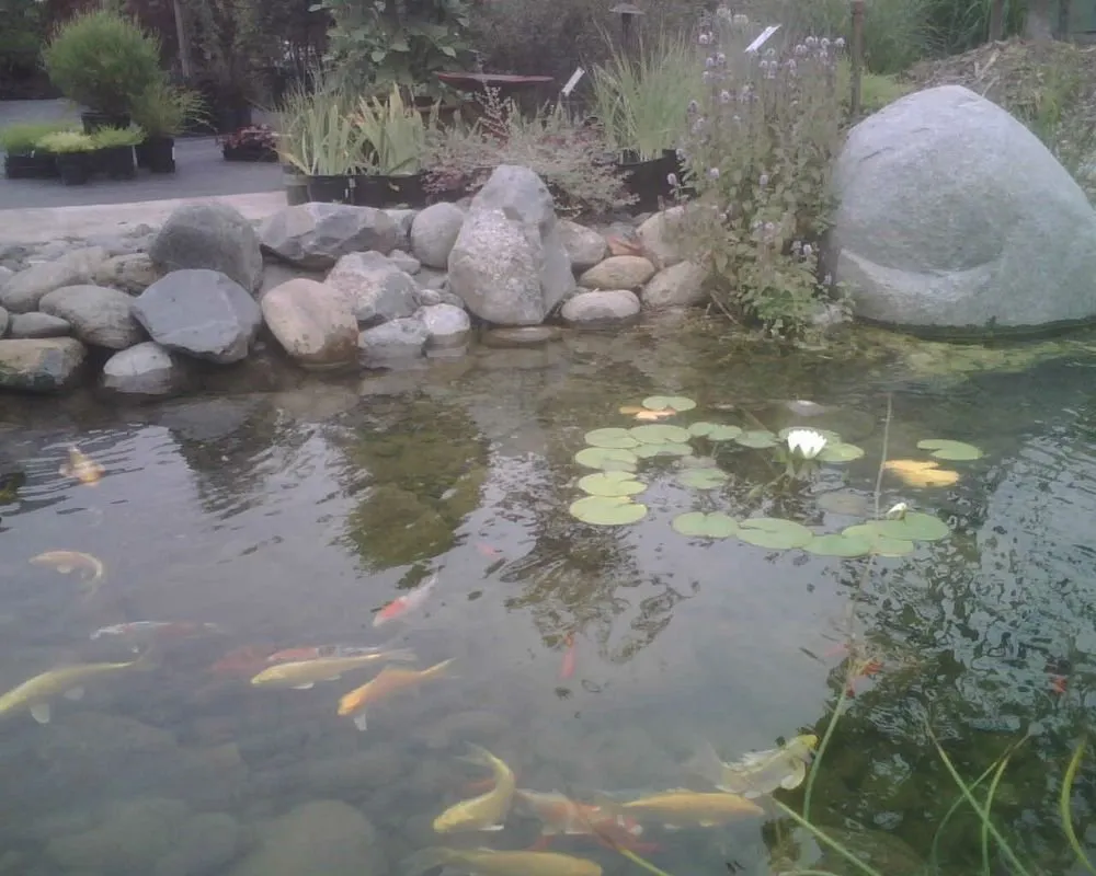 Expert garden landscaping in Arcata, CA by Living Earth Landscapes