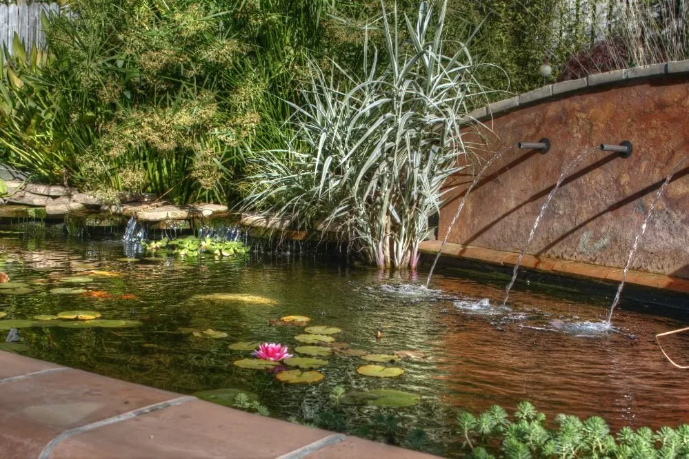 Expert yard cleanup service near you in Arcata, CA by Living Earth Landscapes