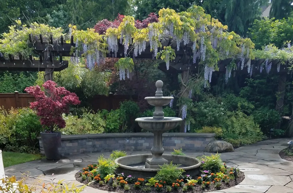 Custom lawn care service in Redmond, WA - Living Earth Landscapes