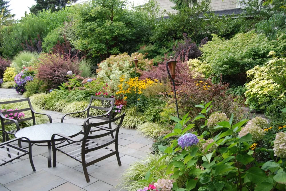 Top-rated yard cleanup service in Redmond, WA - Living Earth Landscapes