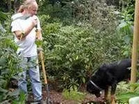 Trusted outdoor landscaping in Redmond, WA - Living Earth Landscapes