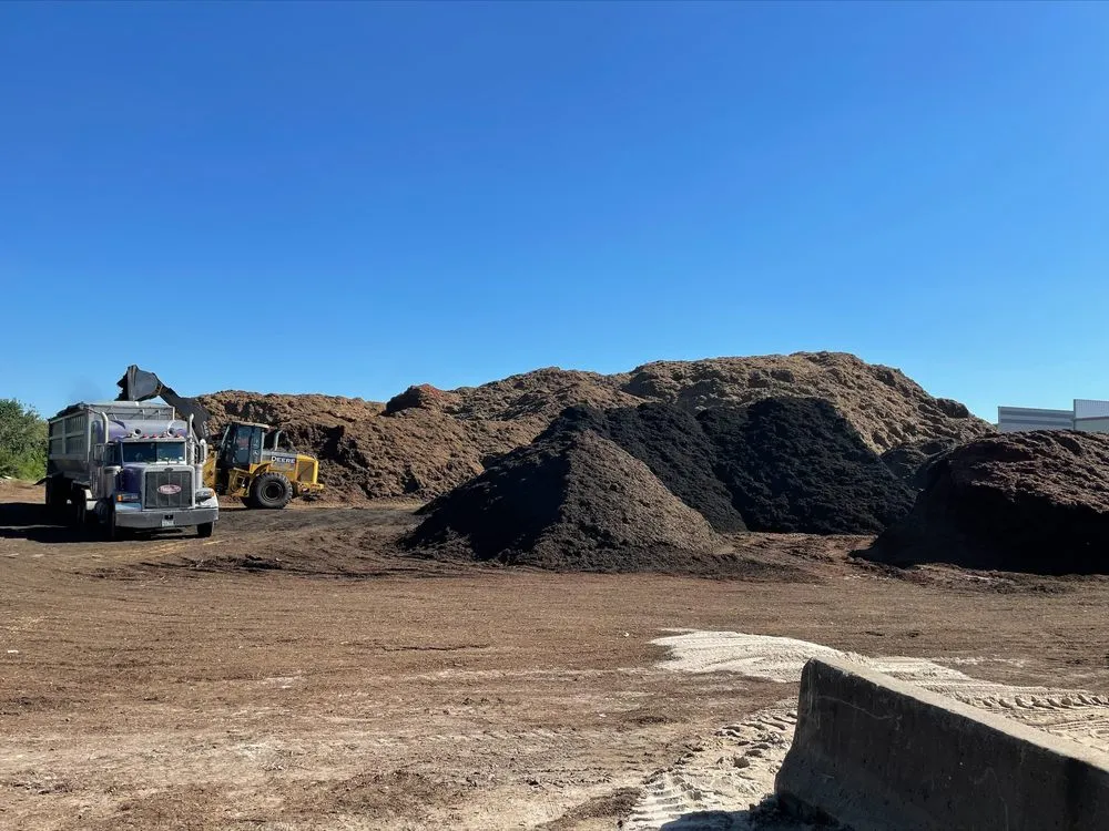 Expert yard maintenance in Missouri City, TX by Living Earth