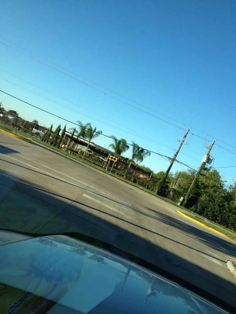 Top-rated landscape installation near you in Missouri City, TX by Living Earth