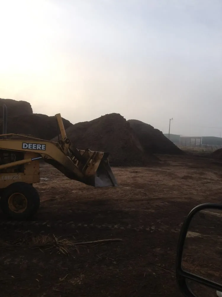 Top-rated yard cleanup service experts serving Missouri City, TX - Living Earth