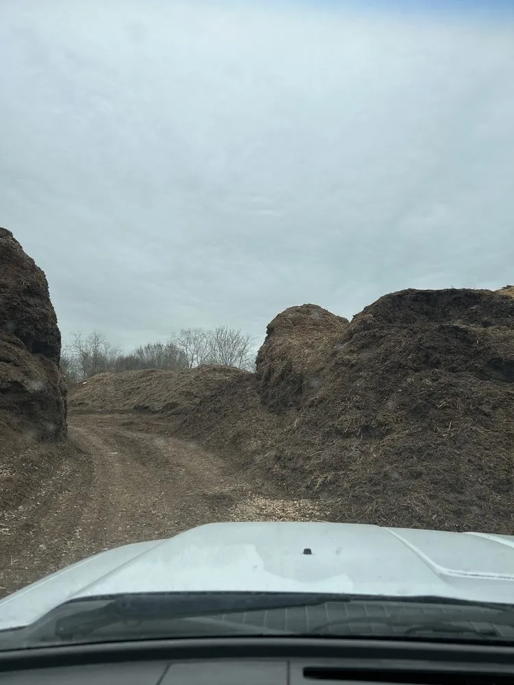 Trusted yard cleanup service for beautiful yards in Missouri City, TX by Living Earth