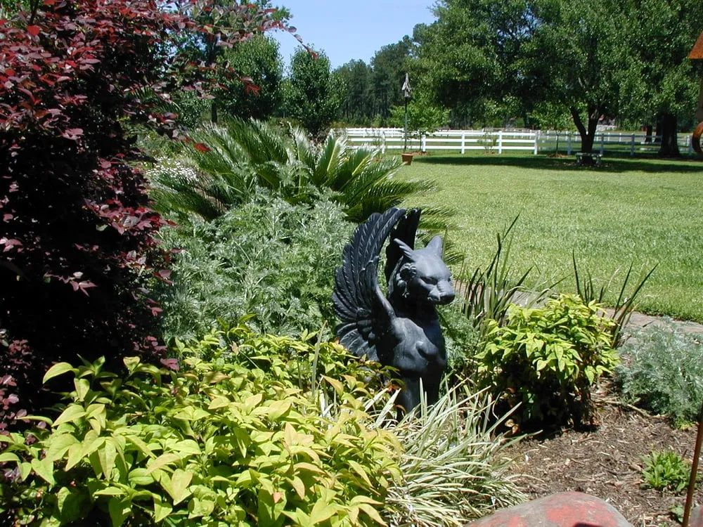 Expert yard cleanup service for year-round maintenance in Conroe, TX by Living Expression Landscapes