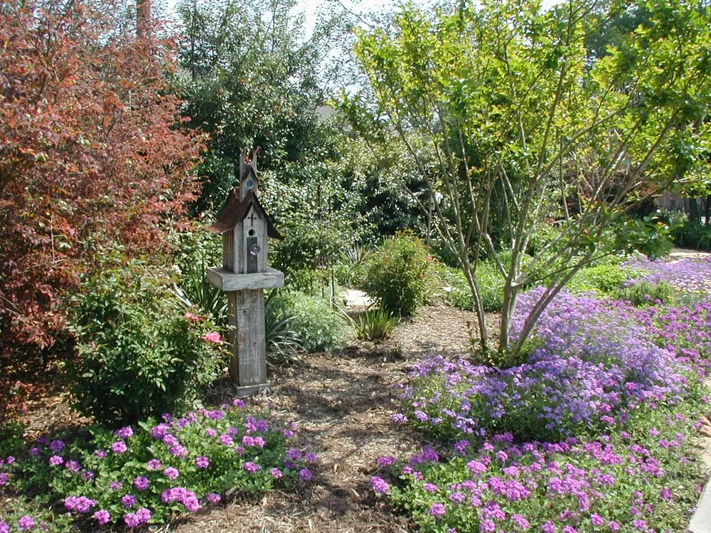 Reliable landscaping services in Conroe, TX - Living Expression Landscapes