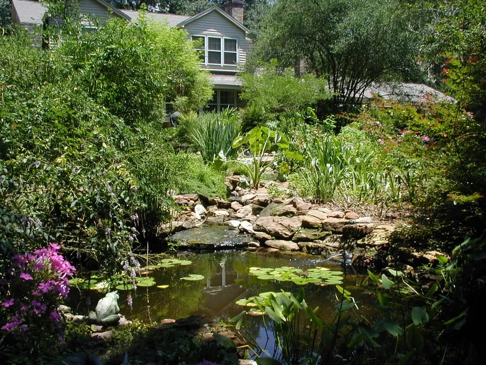 Affordable landscape installation in Conroe, TX by Living Expression Landscapes