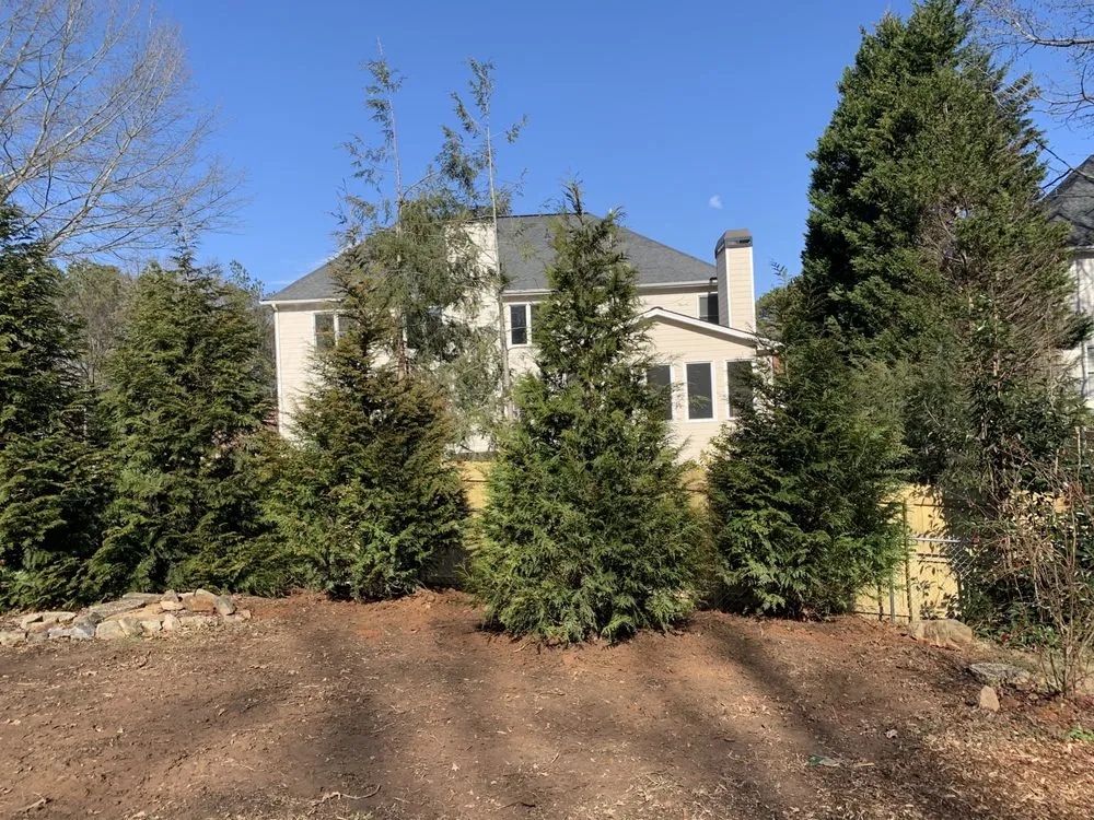 Local residential landscaping for beautiful yards across Marietta, GA - Living Fences