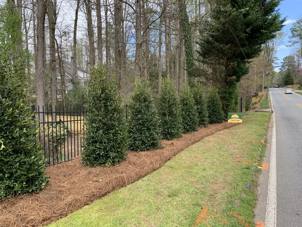 Top-rated landscaping services experts serving Marietta, GA - Living Fences