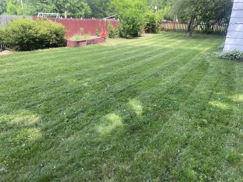 Top-rated landscaping services experts serving Lansing, MI - Living for Legacy