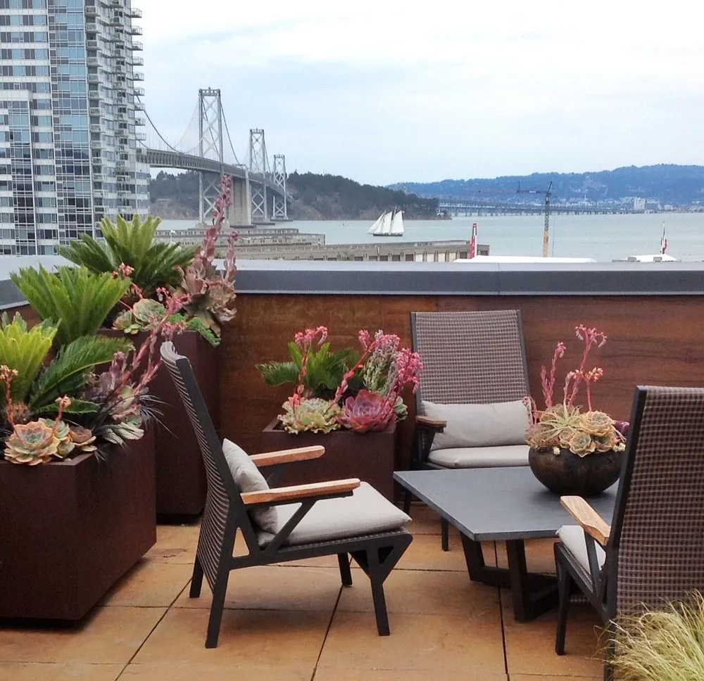 Local garden landscaping in Fairfax, CA - Living Green Design