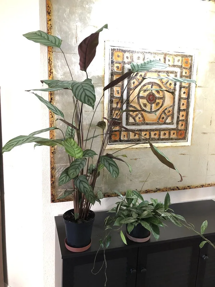 Local lawn care service for homes in Fairfax, CA by Living Green Design