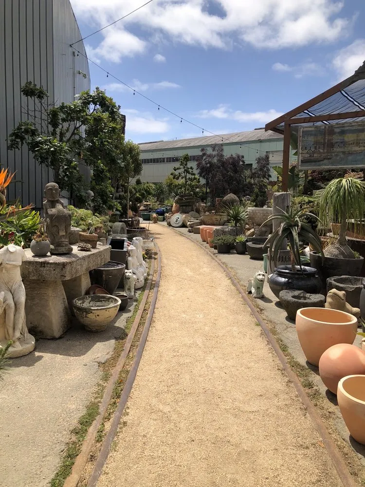 Affordable garden landscaping in Fairfax, CA by Living Green Design