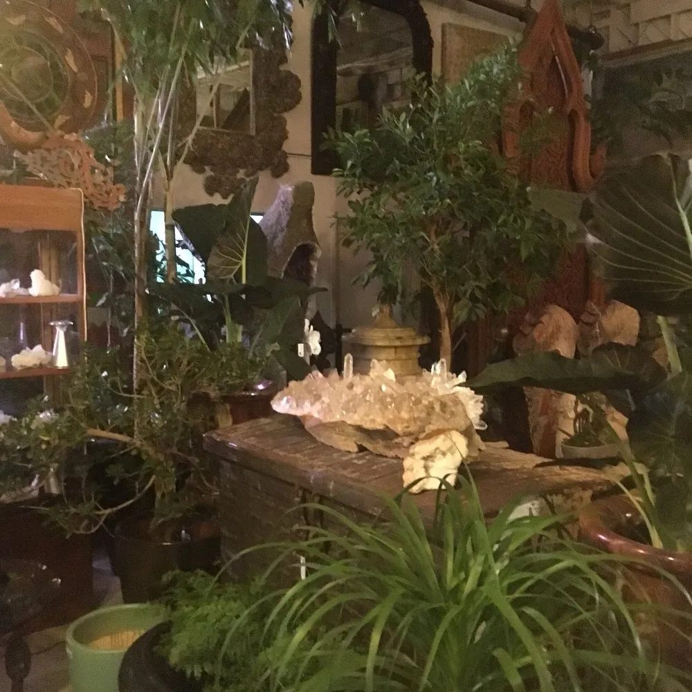 Top-rated landscape design for homes in Fairfax, CA by Living Green Design