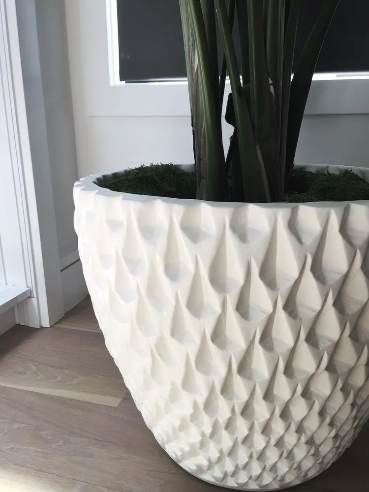 Expert landscape design for year-round maintenance across Fairfax, CA - Living Green Design