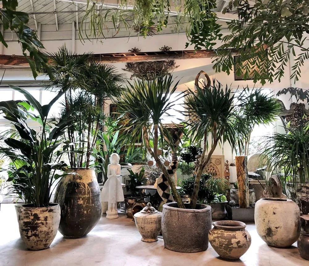 Affordable landscape design in Fairfax, CA - Living Green Design