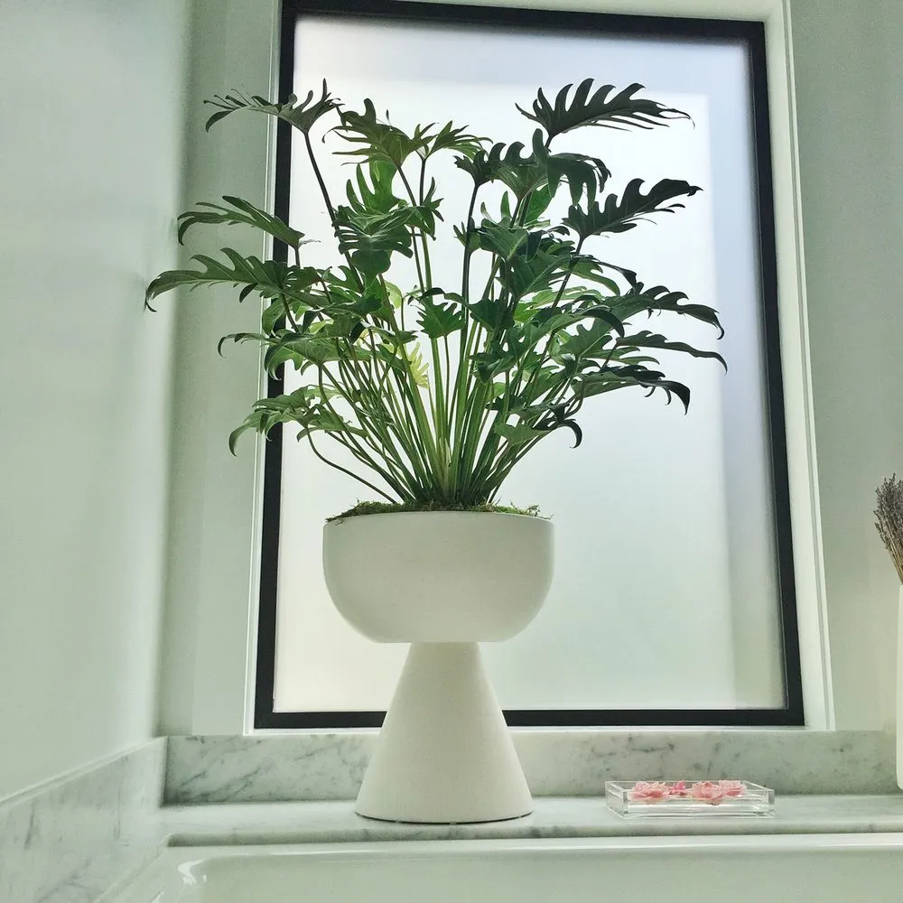 Professional landscape design experts serving Fairfax, CA - Living Green Design