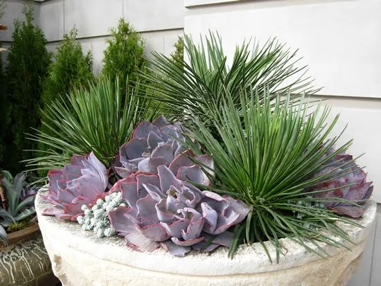 Reliable landscape design for homes across Fairfax, CA - Living Green Design