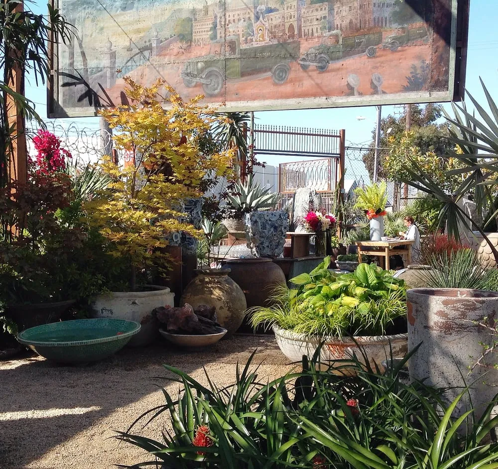 Top-rated garden landscaping for residential properties across Fairfax, CA - Living Green Design