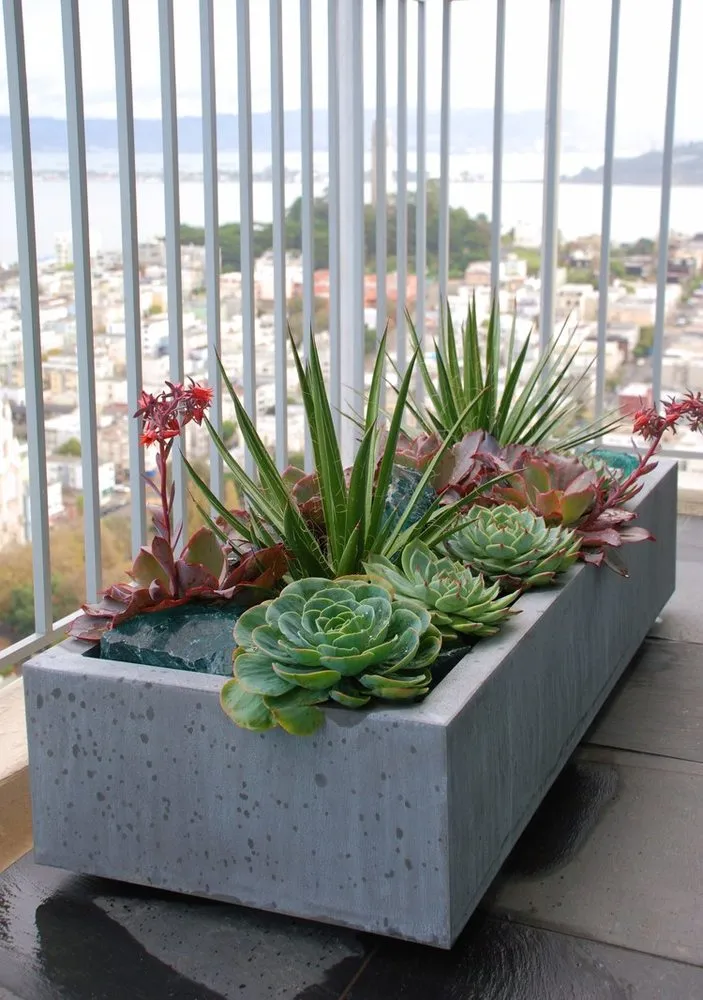 Professional garden landscaping with custom design across Fairfax, CA - Living Green Design