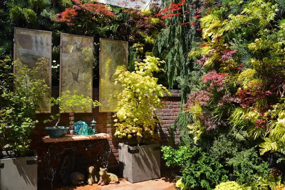 Reliable lawn mowing service in Fairfax, CA by Living Green Design