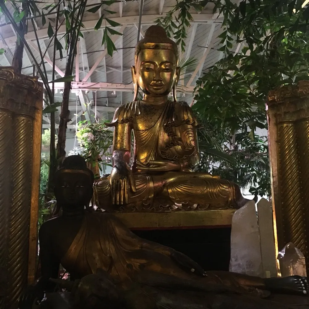 Local landscaping services experts serving Fairfax, CA - Living Green Design