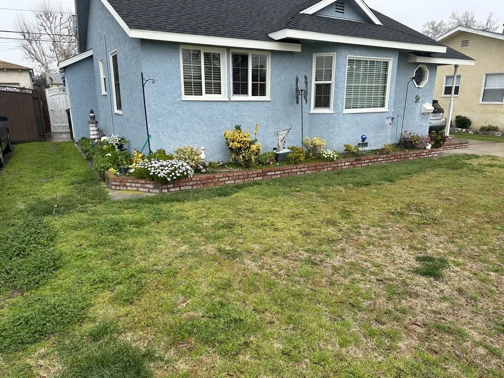 Trusted yard cleanup service experts serving Redondo Beach, CA - Living Green Designs