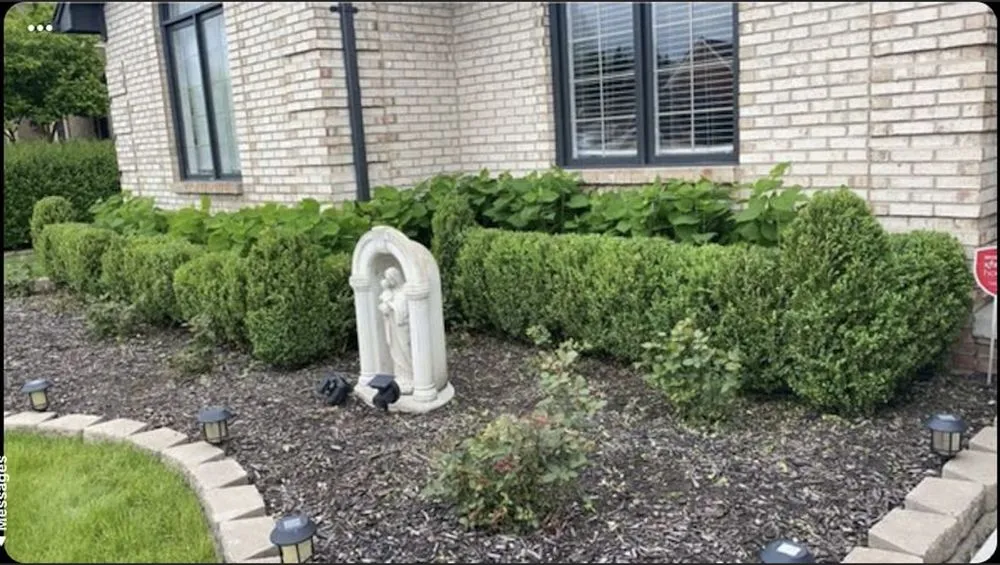 Professional yard cleanup service in Harrison Township, MI by Living Green