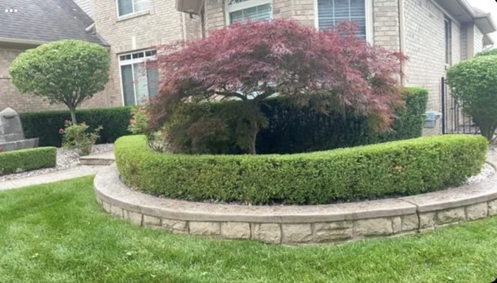 Trusted landscaping services for outdoor upgrades across Harrison Township, MI - Living Green