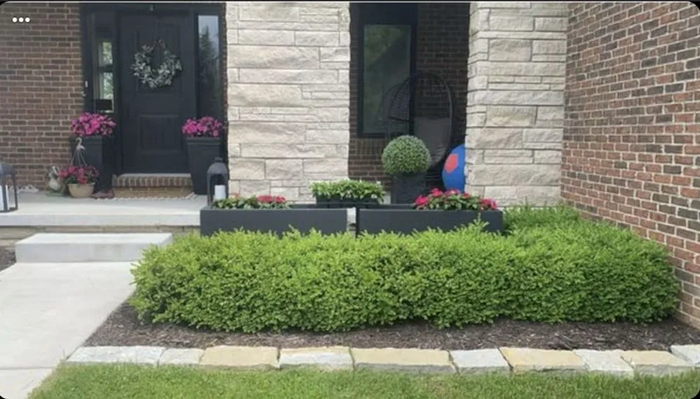 Expert residential landscaping in Harrison Township, MI - Living Green